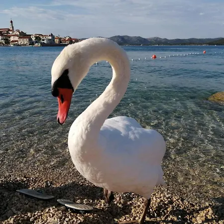 Lantina Διαμέρισμα *