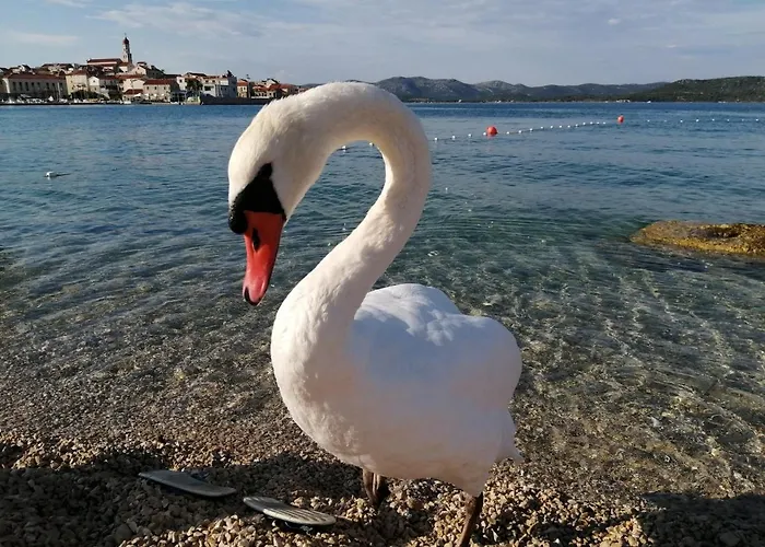 Lantina Apartamento *